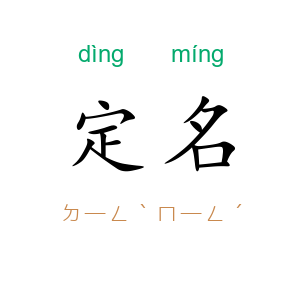 定名