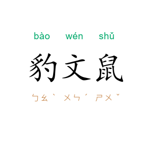 豹文鼠