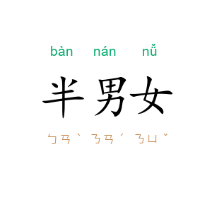 半男女