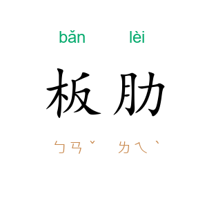 板肋