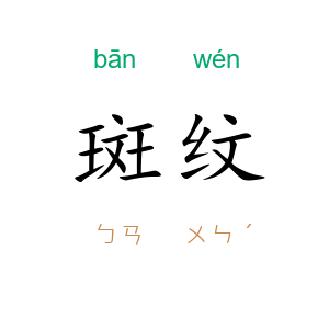 斑纹
