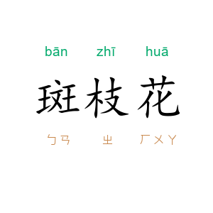 斑枝花