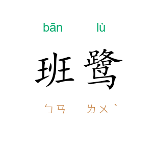 班鹭