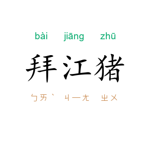 拜江猪