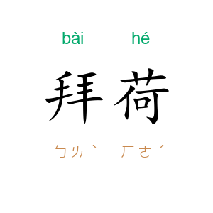 拜荷