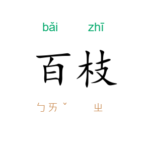 百枝