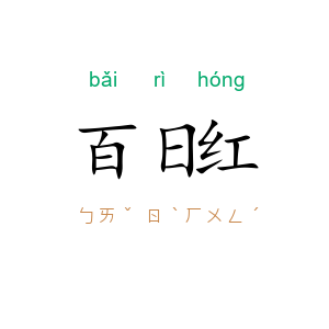 百日红