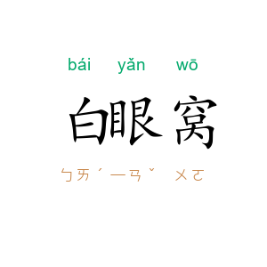 白眼窝