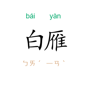 白雁