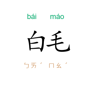 白毛