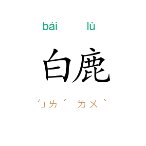 白鹿