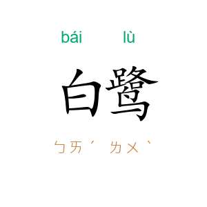 白鹭