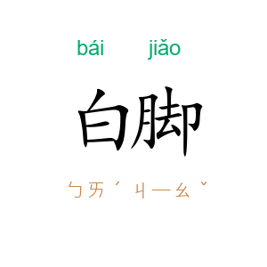 白脚