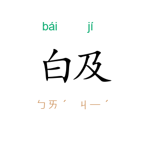 白及