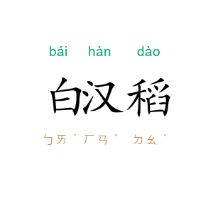 白汉稻
