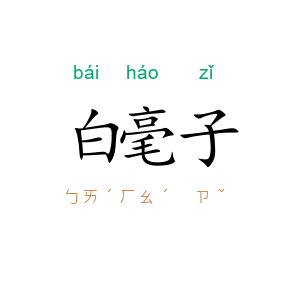 白毫子