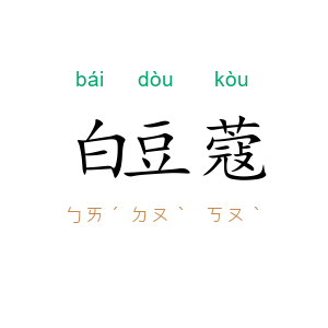 白豆蔻