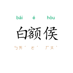 白额侯