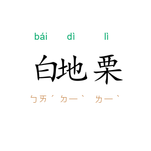 白地栗