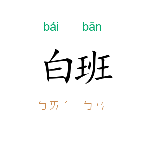 白班