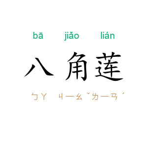 八角莲
