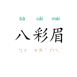 八彩眉