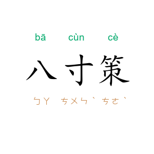八寸策