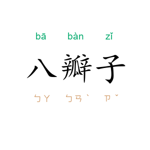 八瓣子