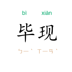 毕现