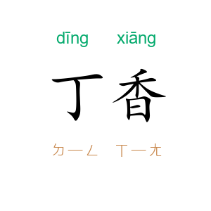 丁香
