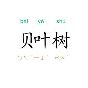 贝叶树