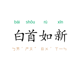 白首如新