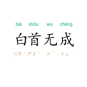 白首无成