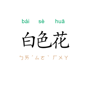 白色花