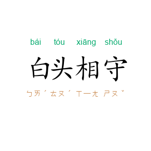 白头相守