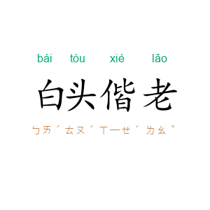 白头偕老
