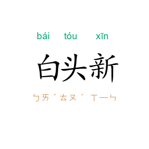 白头新