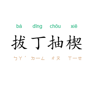 拔丁抽楔