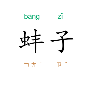 蚌子