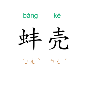 蚌壳