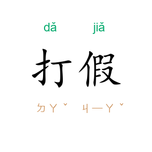打假