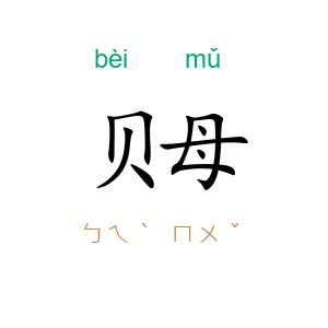 贝母