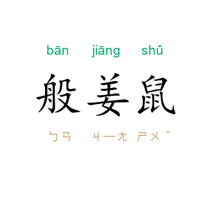 般姜鼠
