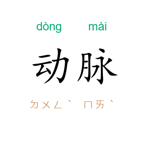 动脉