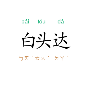 白头达