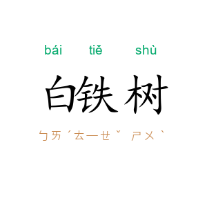 白铁树