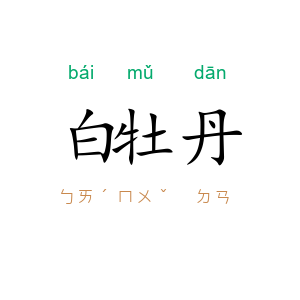 白牡丹