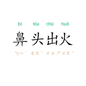 鼻头出火