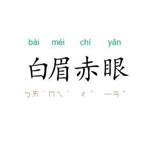 白眉赤眼