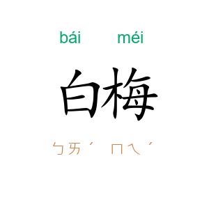 白梅